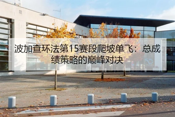 波加查环法第15赛段爬坡单飞：总成绩策略的巅峰对决