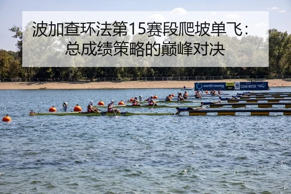bo-jia-cha-huan-fa-di-sai-duan-pa-po-dan-fei-zong-cheng-ji-ce-lve-de-dian-feng-dui-jue-3-710.jpg