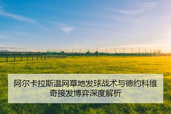 a-er-ka-la-si-wen-wang-cao-di-fa-qiu-zhan-shu-yu-de-yue-ke-wei-qi-jie-fa-bo-yi-shen-du-jie-xi-3-978.jpg