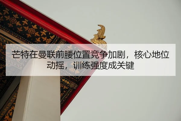 mang-te-zai-man-lian-qian-yao-wei-zhi-jing-zheng-jia-ju-he-xin-di-wei-dong-yao-xun-lian-qiang-du-cheng-guan-jian-3-304.jpg