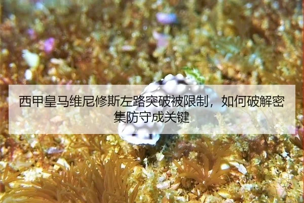 xi-jia-huang-ma-wei-ni-xiu-si-zuo-lu-tu-po-bei-xian-zhi-ru-he-po-jie-mi-ji-fang-shou-cheng-guan-jian-2-715.jpg