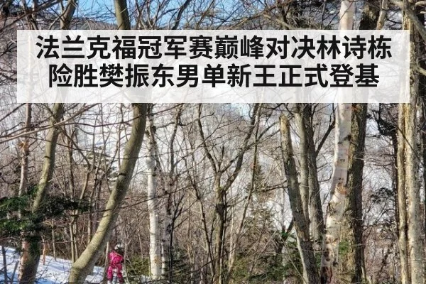 法兰克福冠军赛巅峰对决林诗栋险胜樊振东男单新王正式登基
