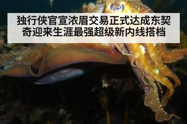 独行侠官宣浓眉交易正式达成东契奇迎来生涯最强超级新内线搭档