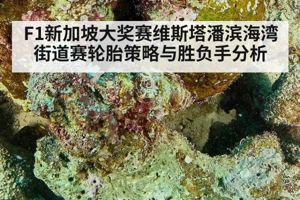 F1新加坡大奖赛维斯塔潘滨海湾街道赛轮胎策略与胜负手分析