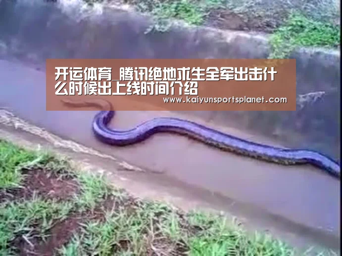 开运APP