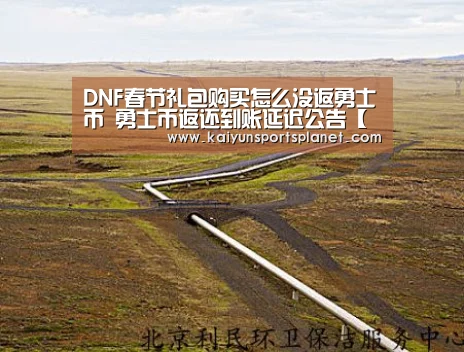 DNF春节礼包购买怎么没返勇士币 勇士币返还到账延迟公告【开